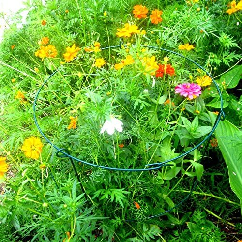 MTB Supply 5 Pack 36" x 18" Peony Double Ring Plant Support, Plant Support - Image 5