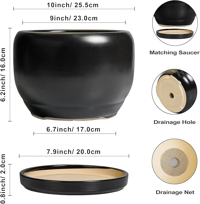 SQOWL Ceramic Flower Pot - Image 3