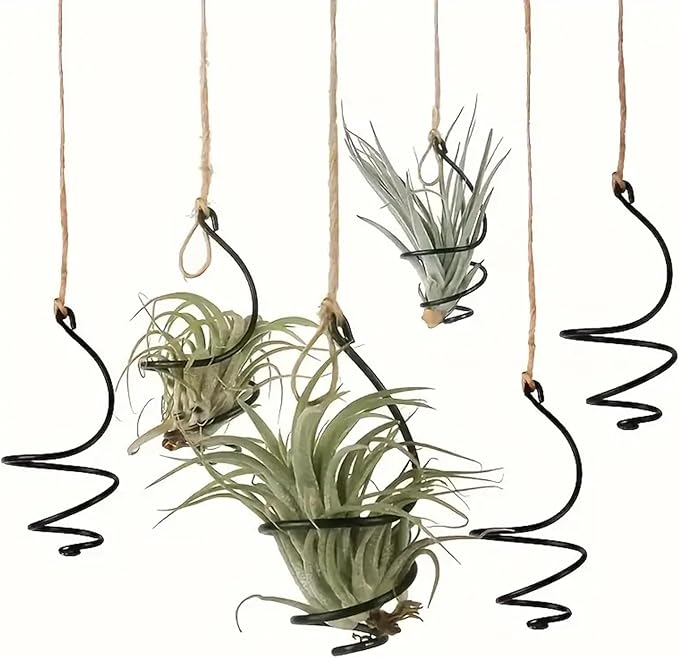 6 pcs set Hanging Air Plant Holder Air Plant Hanger by Nwsrayu