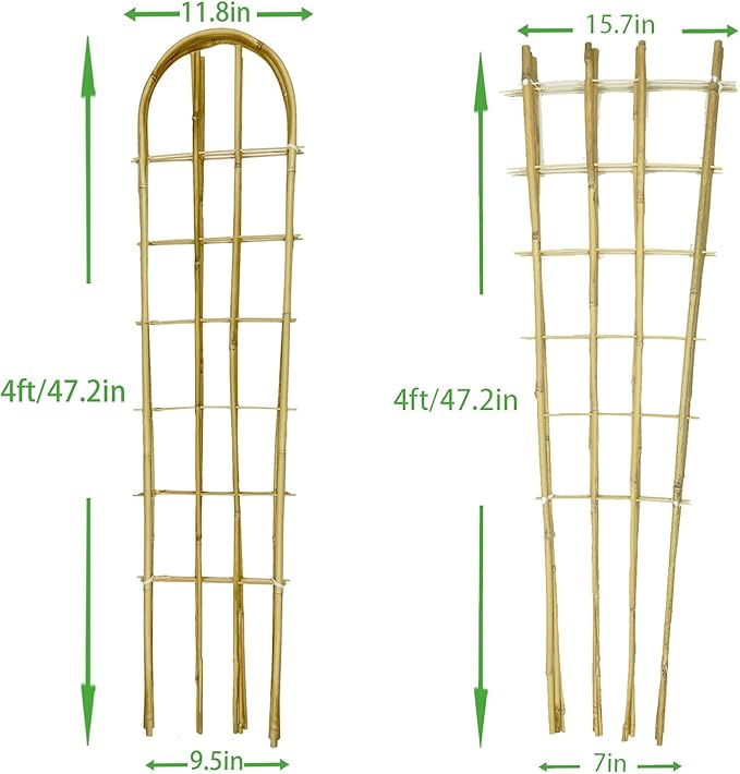 Natural Bamboo Trellis, Fan-Shaped+U-Shape, Plant Support Trellis - Image 2
