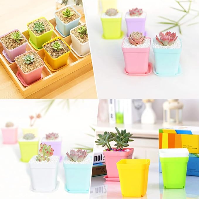 Haawooky 24 Pack Colorful Flower Pots Square Plastic Plant Pots Succulent - Image 5