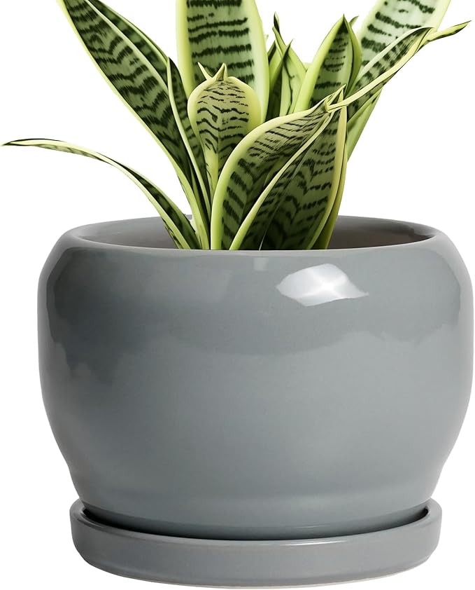 SQOWL 6 Inch Plant Pots by SQOWL