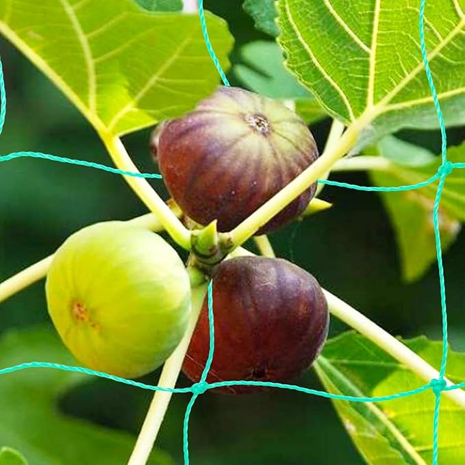 Pack of 2 Cucumber Tomato Trellis Netting, Heavy Duty Garden Netting - Image 4