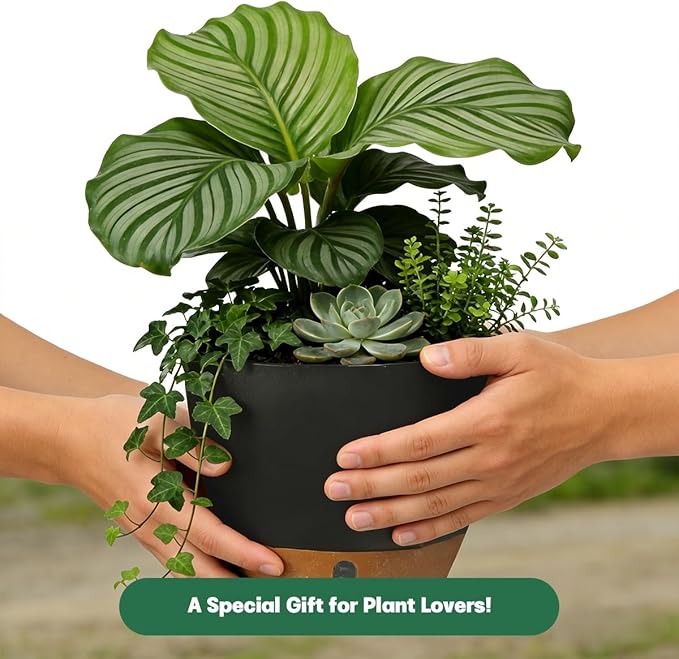 Self-Watering Hanging Planters for Indoor Plants Set 2-Piece Includes Plant - Image 6