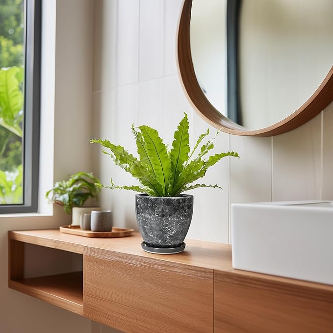 Ceramic Pots for Plants - Image 7