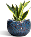 8 Inch Plant Pot by Thirtypot