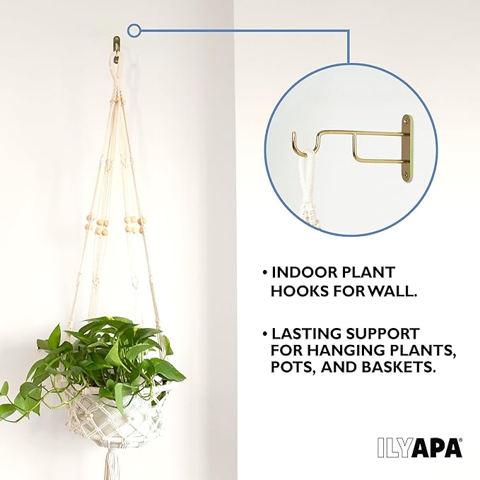 Ilyapa 3 Pack Metal Wall Plant Hangers - Image 5