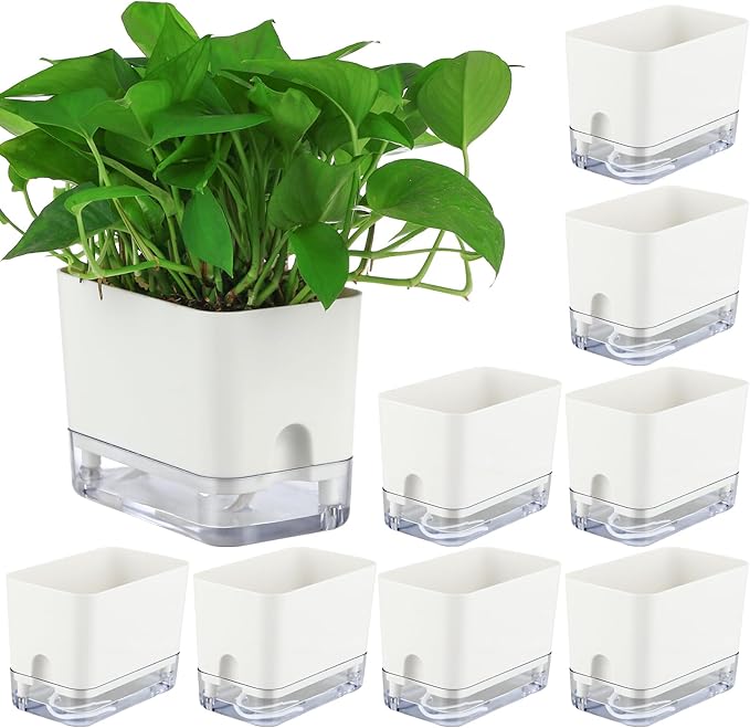 Planterhoma Self Watering Plant Pots by Planterhoma