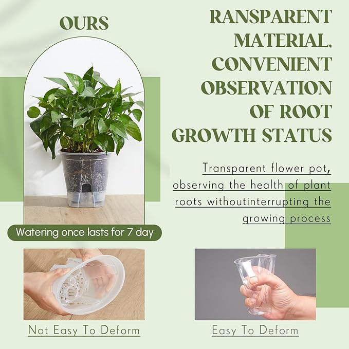 Self Watering Pots for Indoor Plants - Image 5