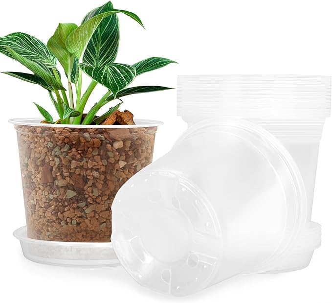 6 Inch Clear Nursery Pots for Plants by FUIJOL