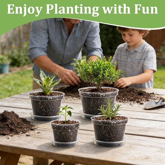 15 Pack 8/7/6 Inch Clear Nursery Pots - Image 6