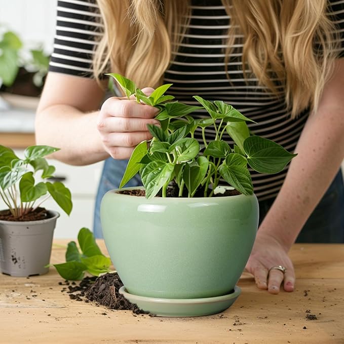 6 Inch Plant Pot - Image 6