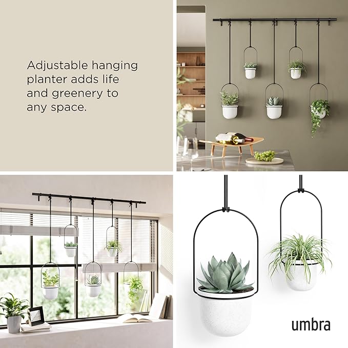 Umbra Triflora Hanging Planter for Window, Indoor Herb Garden - Image 4