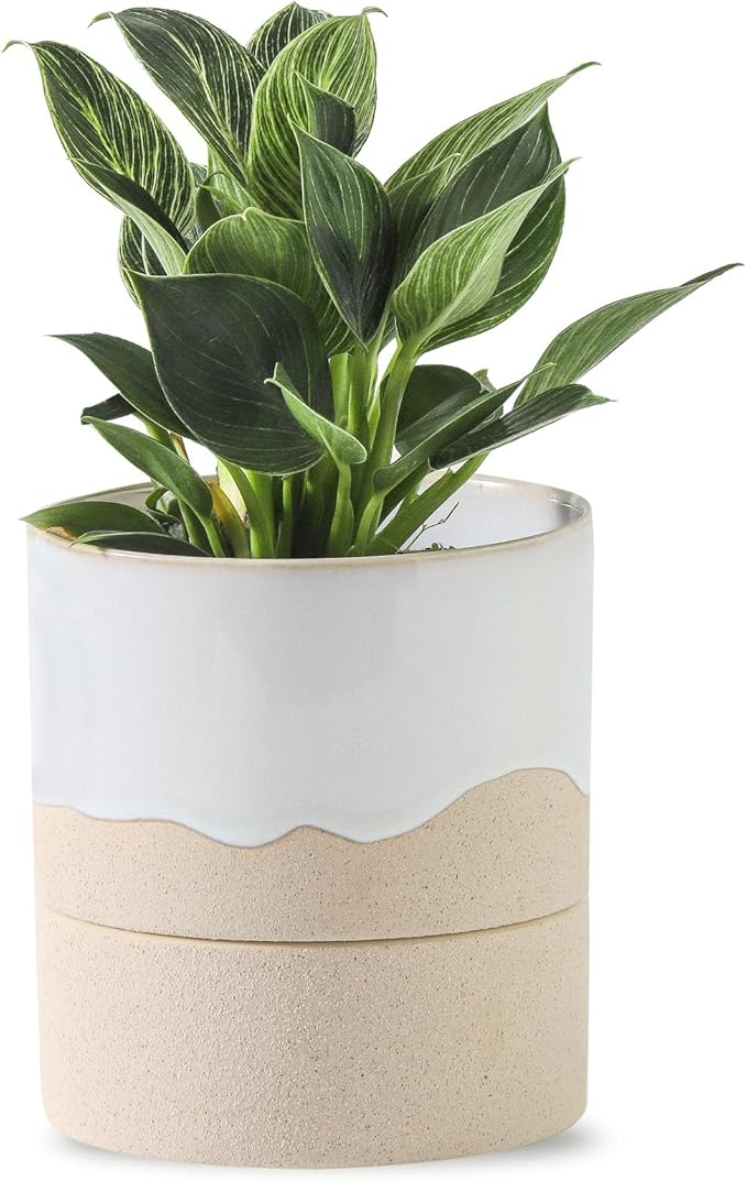 Nihow Self Watering Plant Pot: 4.5 Inch Ceramic Planter by Nihow