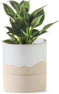 Nihow Self Watering Plant Pot: 4.5 Inch Ceramic Planter by Nihow