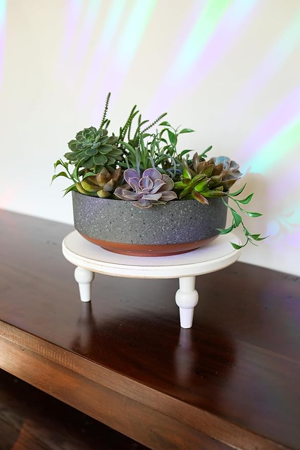 The HC Companies 8 Inch Round Plastic Succulent Capri Bowl Decorative Indoor - Image 4