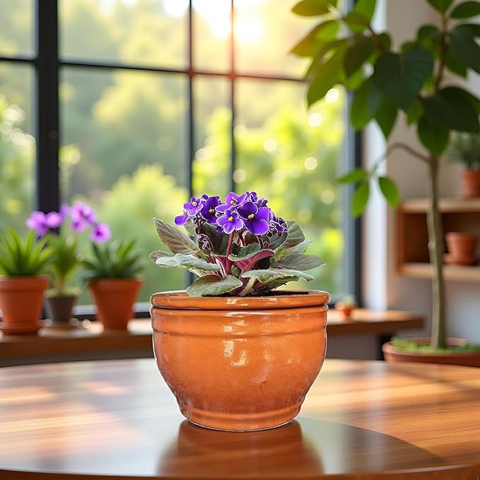 African Violet Pots Self Watering Round Ceramic Violet Pot - Image 2
