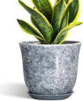 Ceramic Plant Pots by SUNPOTFOR