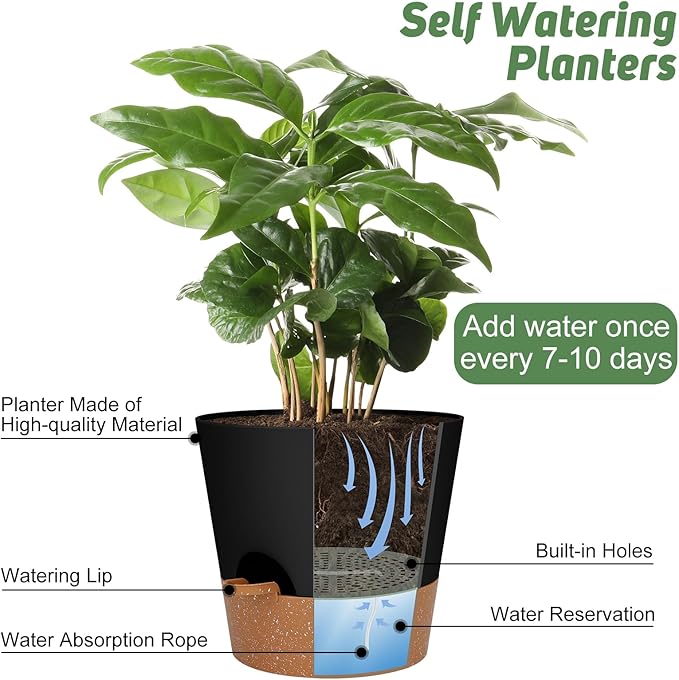 10-Inch Plant Pots, Self-Watering Planters - Image 5