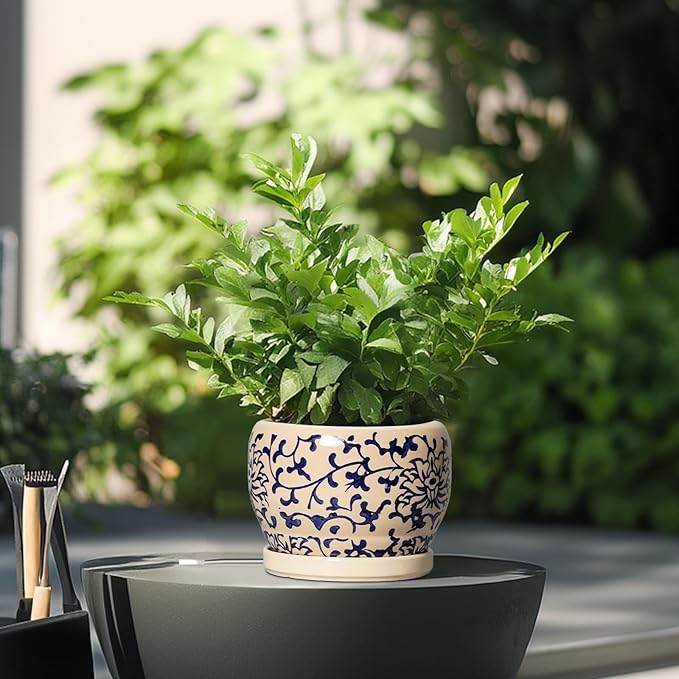 SQOWL Ceramic Flower Pots - Image 4