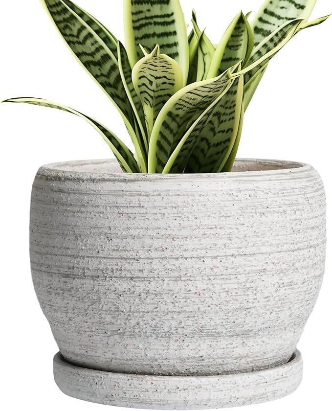 SQOWL Ceramic Planters for Indoor Plants by SQOWL