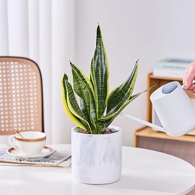 Ekirlin 6 Inch Resin Plant Pot Indoor - Image 6