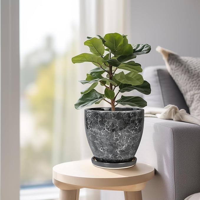 6.3 Inch Plant Pot - Image 8