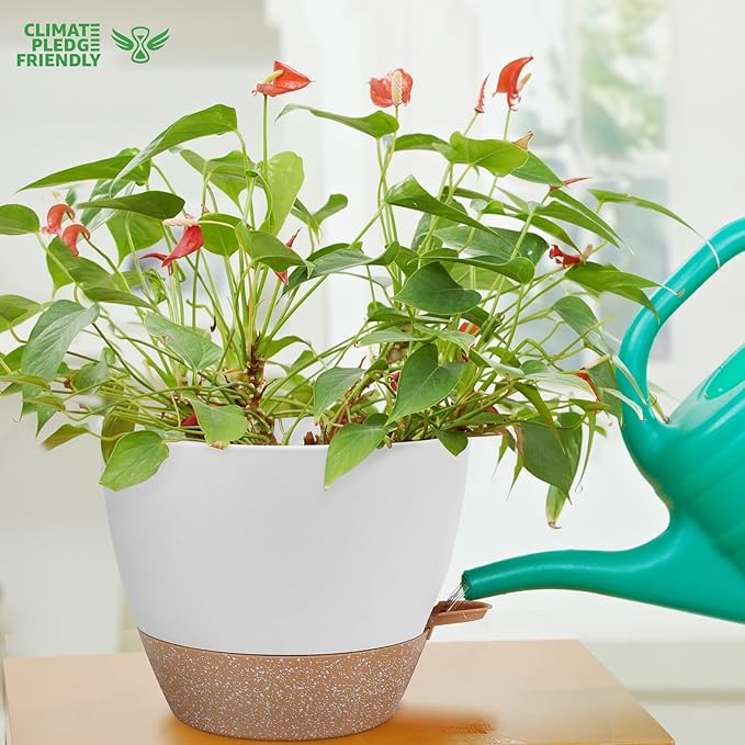 12 Inch Large Self Watering Plant Pot Set, Flower Pots - Image 6