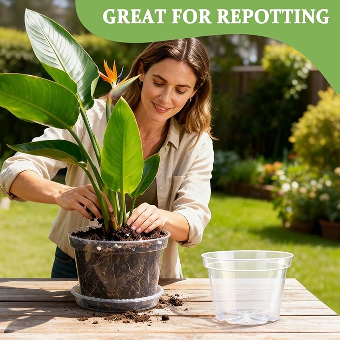 10 Pack 10 Inch Clear Nursery Pots - Image 5