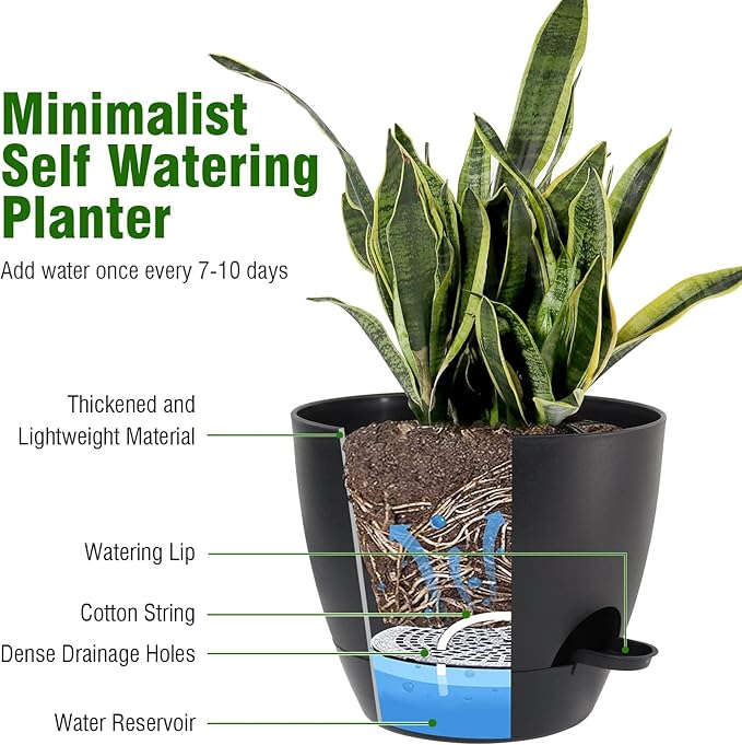 10/9/8 inch Self Watering Pots - Image 4