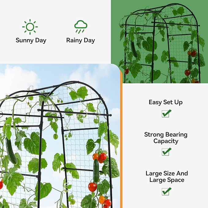 Lalahoni Garden Arch Trellis for Climbing Plants Outdoor, 80 Inch Tall Grape - Image 4