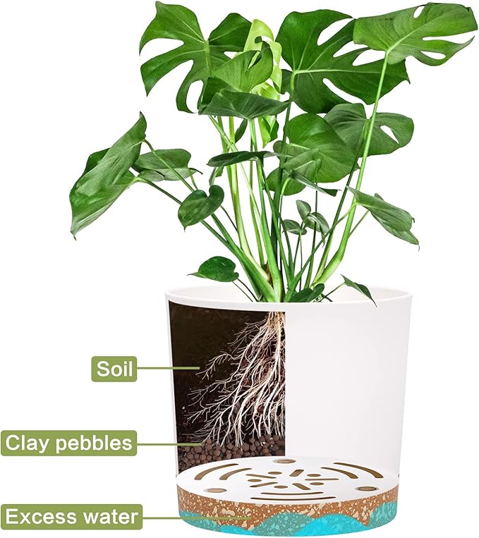 QCQHDU 5 inch Plant Pot, 2 Pack Planters - Image 4