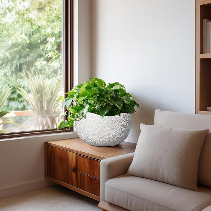 10 Inch Plant Pot - Image 6
