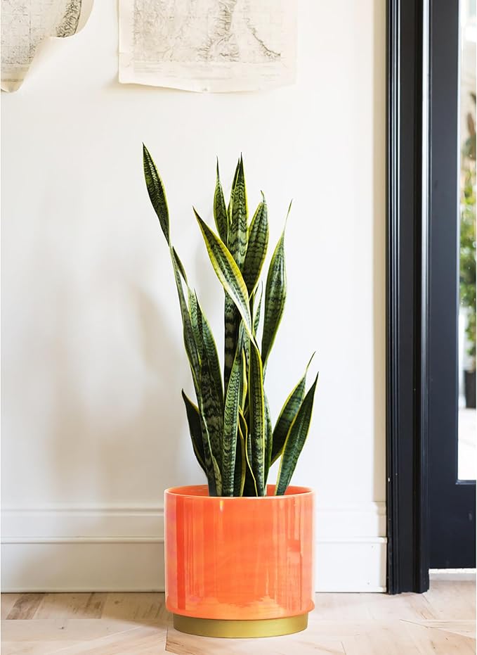 Gepege Peach Indoor Plant Pots for Plants, Large Ceramic Planter - Image 7