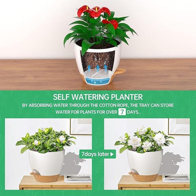 ZMTECH 10 Inch Hanging Planters - Image 4