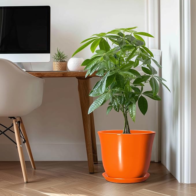 12 Inch Pots for Plants - Image 3