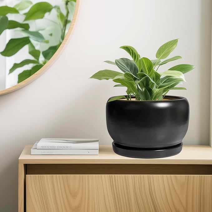 SQOWL Ceramic Flower Pot - Image 7