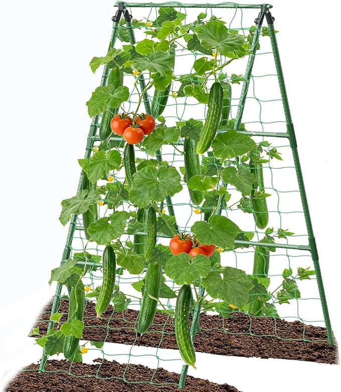 Cucumber Trellis Garden Trellis Arch Trellis, Tall Trellis by 7Queen