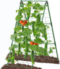 Cucumber Trellis Garden Trellis Arch Trellis, Tall Trellis by 7Queen