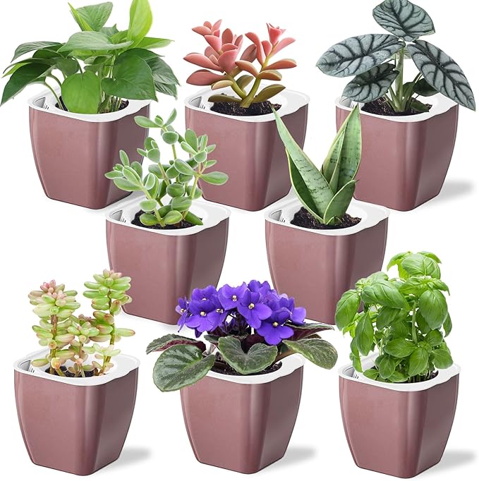 8 Pack Self Watering Pots 4-inch Decorative Flower Planters by Oliz