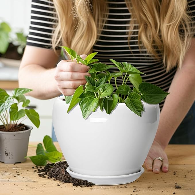 Ceramic Pot for Plants - Image 5