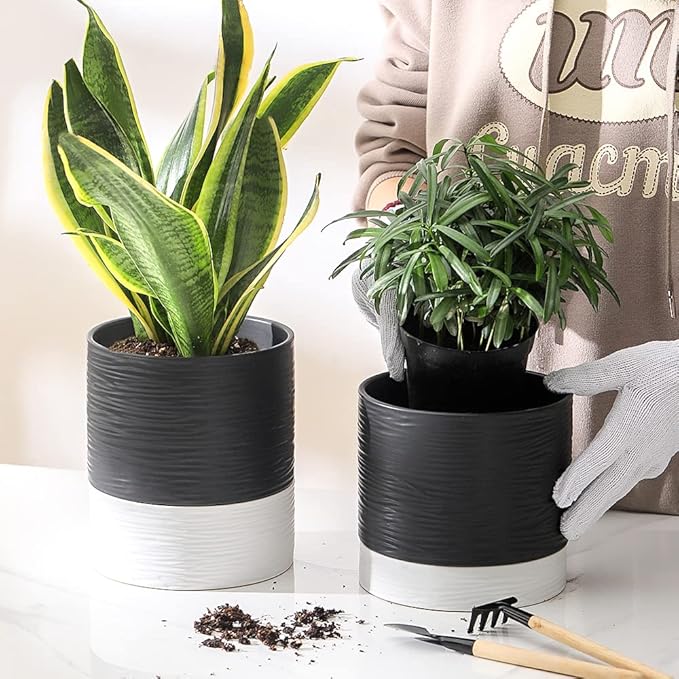 Nihow Ceramic Plant Pot: 6 Inch Planter - Image 4