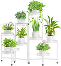 iDavosic.ly Plant Stand Indoor Outdoor, 9 Tier Corner Metal Flower Display by iDavosicly
