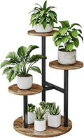 Plant Stand Indoor 4 Tier 5 Potted Multiple Flower Pot Holder by INGIORDAR
