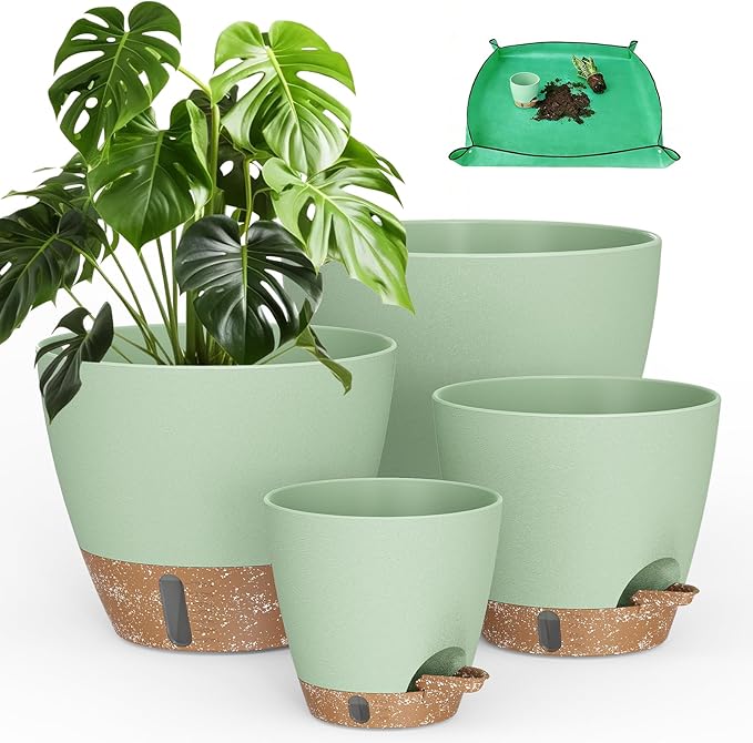 Plant Pots, Modern Planters for Indoor Outdoor Plants, Room & Office Décor by Unknown
