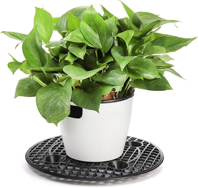 15 PCS Plant Level Pot Elevator, 12 inch Plastic Potted Plant Stands, Large - Image 4