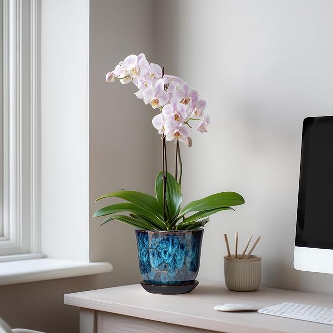 5.6 Inch Plant Pot - Image 3
