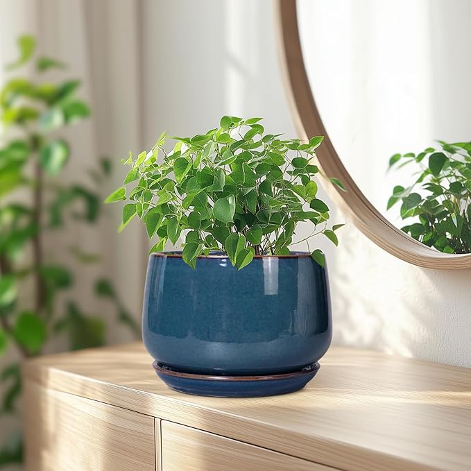 G EPGardening Ceramic Pot for Plants - Image 6