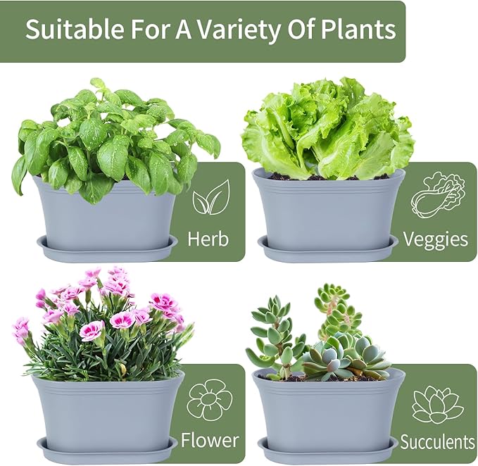 Windowsill Herb Garden Planter - Image 4