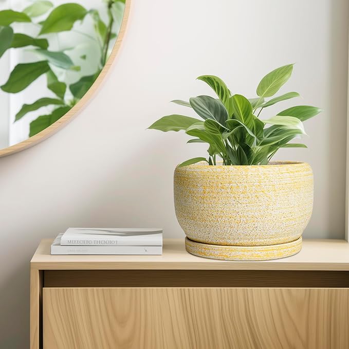 SQOWL Ceramic Planters for Indoor Plants - Image 7